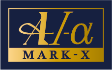 『A-1α MARK-X』6mm総織刺十字刺