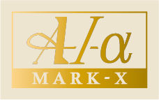 『A-1α MARK-X』4mm織刺十字刺